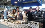 Munich mineralshow